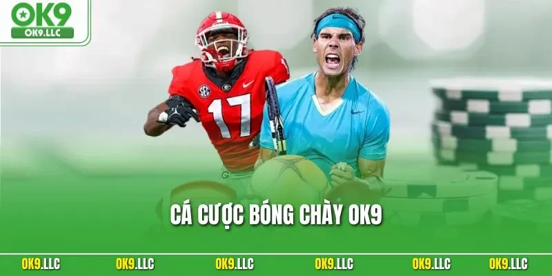 Cá Cược Bóng Chày OK9 – Trải Nghiệm Uy Tín Cho Hội Viên