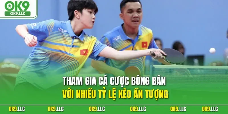 Tham gia cá cược bóng bàn với nhiều tỷ lệ kèo ấn tượng